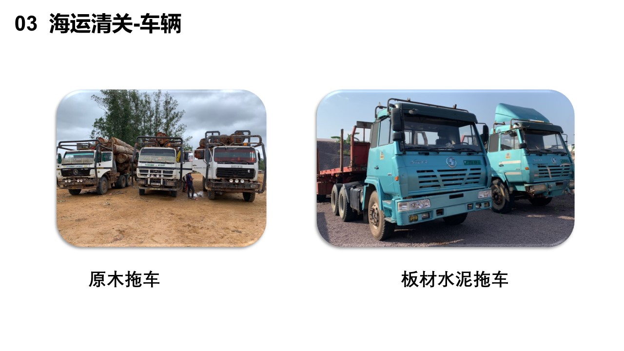 了解法米耶(图14)